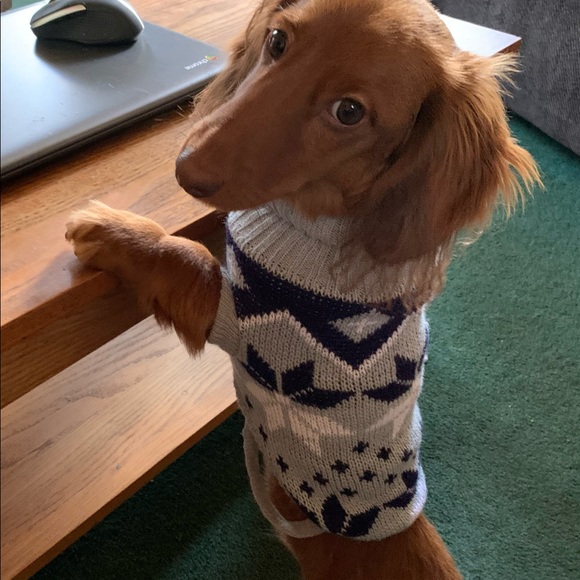 Meet your Posher, Melissa - Picture 9 of 12